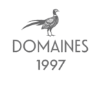 Logo Domaines